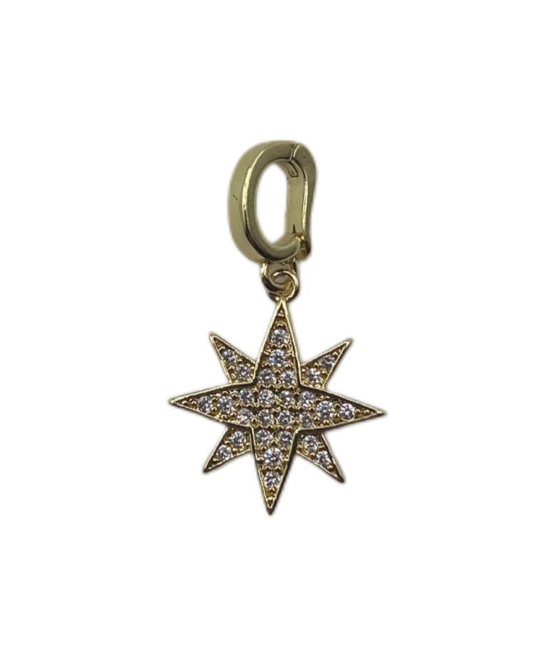 Camille Charm AFP101 32
