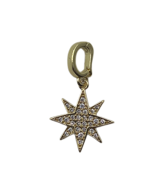 Camille Charm AFP101 32