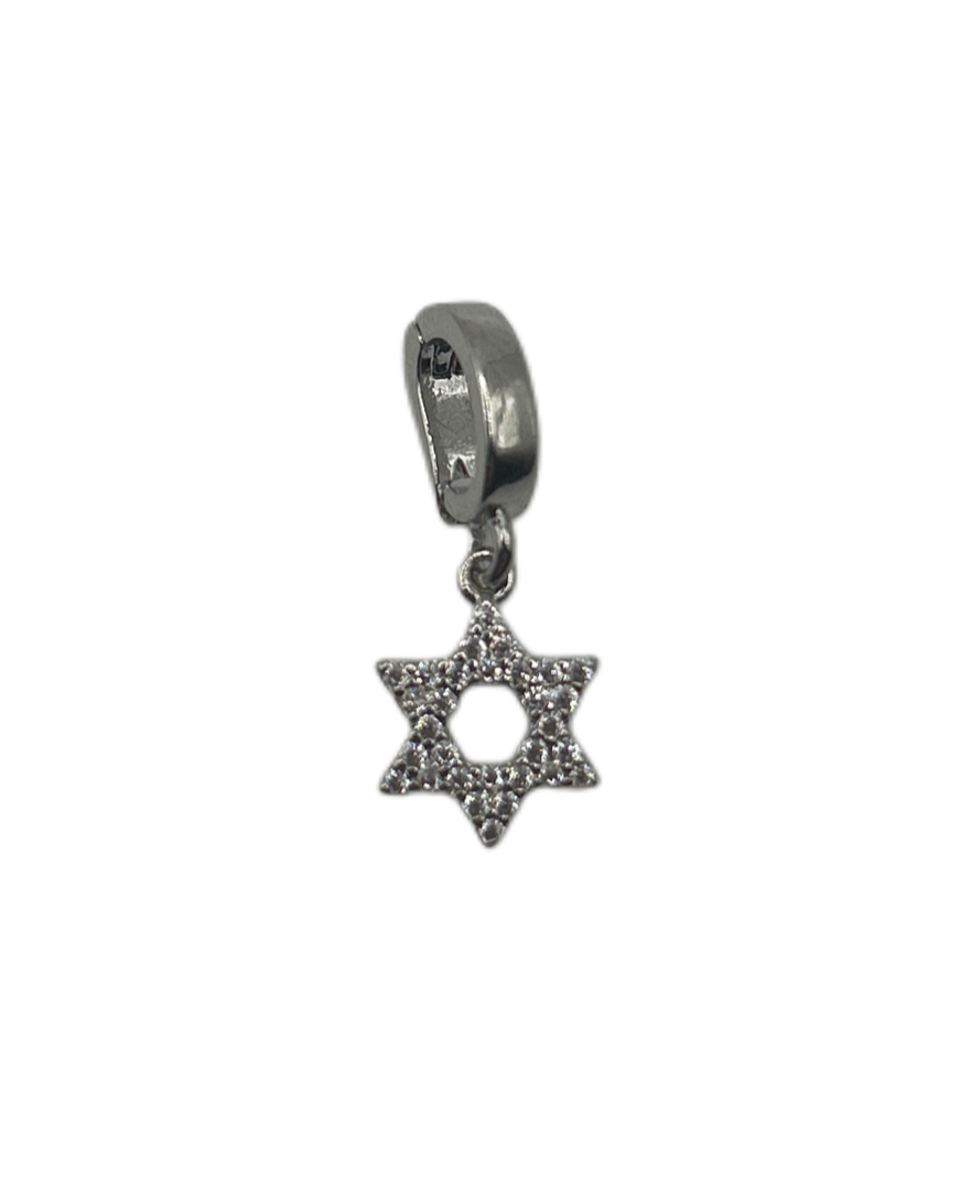 Sheera's Star of David Charm	AFP113	28